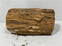 Petrified Wood