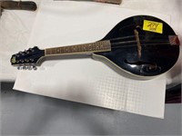 ROGUE INSTRUMENTS MANDOLIN