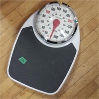 Taylor Professional scale