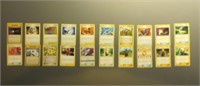 20 Pokemon Trainer Cards