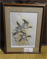 Framed print of flying Green Wing Teal by J.F.