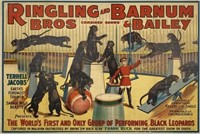RINGLING BROS. BARNUM & BAILEY CIRCUS POSTER