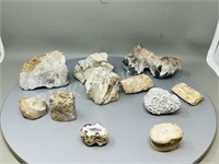 collection of fossils & stone