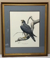American Peregrine Falcon by Guy Coheleach