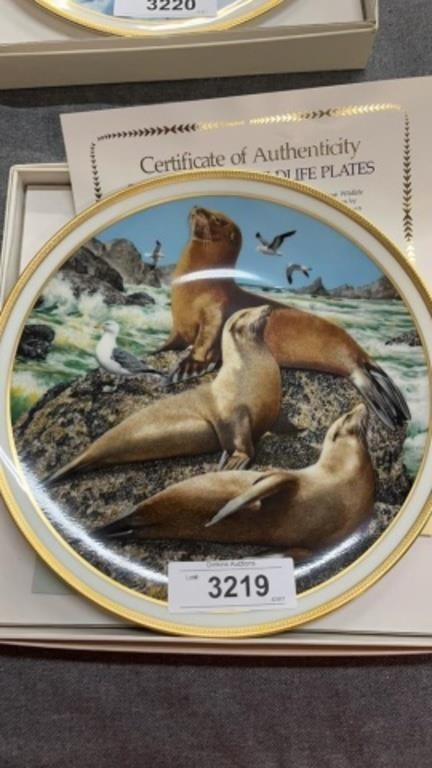Lennix sea lion collector plate