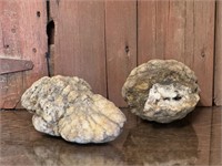 Two Indiana Geodes Unopened