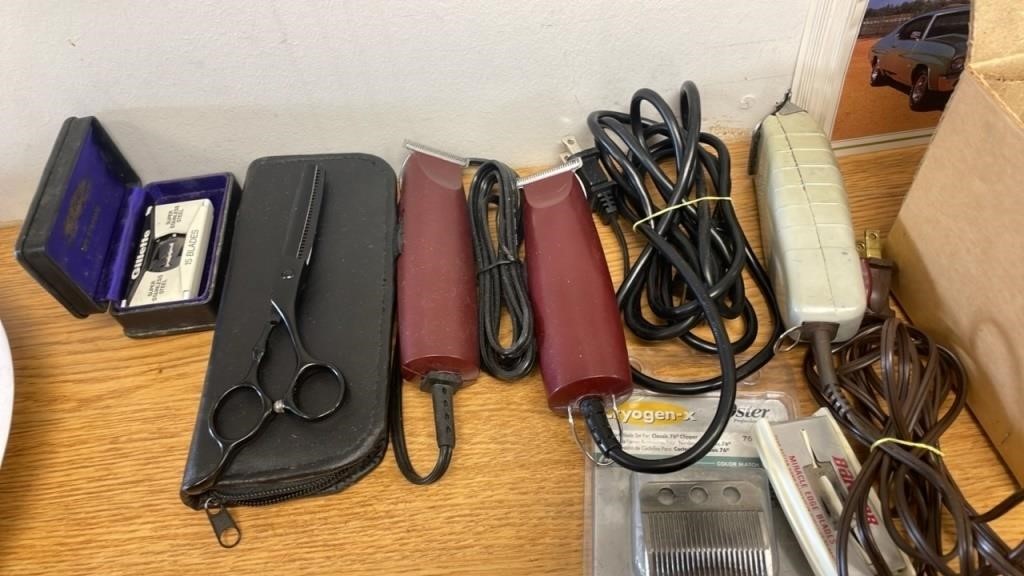 Electric Clippers Lot With Razor blades