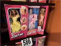 3 Barbie Dolls(BR3)
