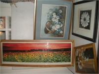 Framed Botanical Prints