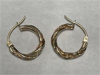 10 kt Gold Hoop Earrings