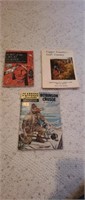 3 vintage books - classics illustrated Robin