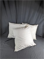 (3) Pottery Barn Pillows Set