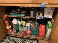 Chemicals Under Kitchen Sink