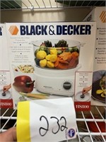 Black & Decker steamer