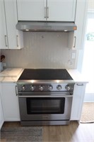 Thor 36" Electric Convection Range