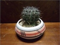Ceramic Planter with Fake Cactus