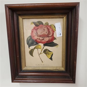 Framed Camellia Flower Art
