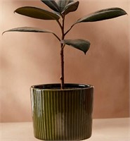 *Small Table Top Ceramic Planter, Green*