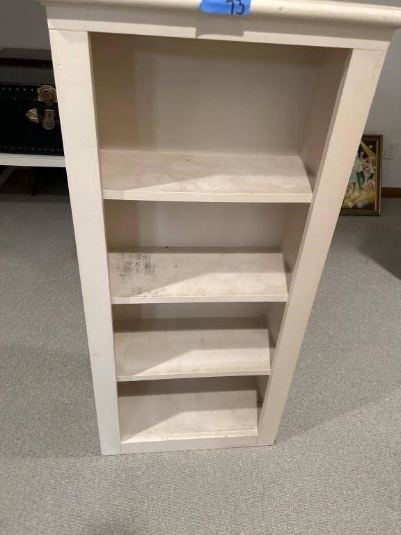 Bookcase 43“ x 23“