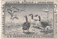 unused RW 25 Dept of the Interior Duck  Stamp