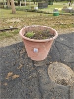 3 Large Plastic Pot Plants