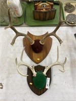 2 Antlers Mounted on Plaques