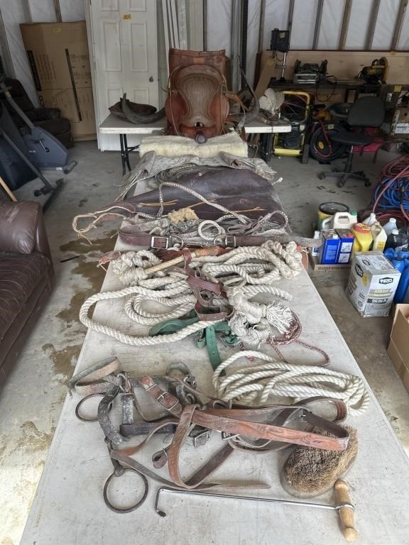 Vintage, western saddle, chaps, and misc. tack