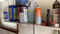 Shelf  of paint, WD 40, starting fluid , bug