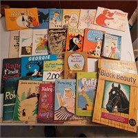 Large Kid's Book Lot