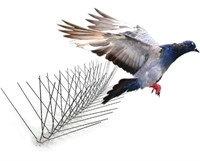 Bird-X Deterrent Steel Spikes, Bird Control