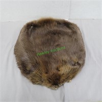 Beaver Pelt- Heavy Winter Fur - Professionally