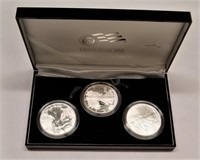 American Eagle 20th Anniversary Silver Coin Set