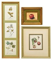 (3) FRAMED WALL ART WITH BOTANICAL SUBJECTS