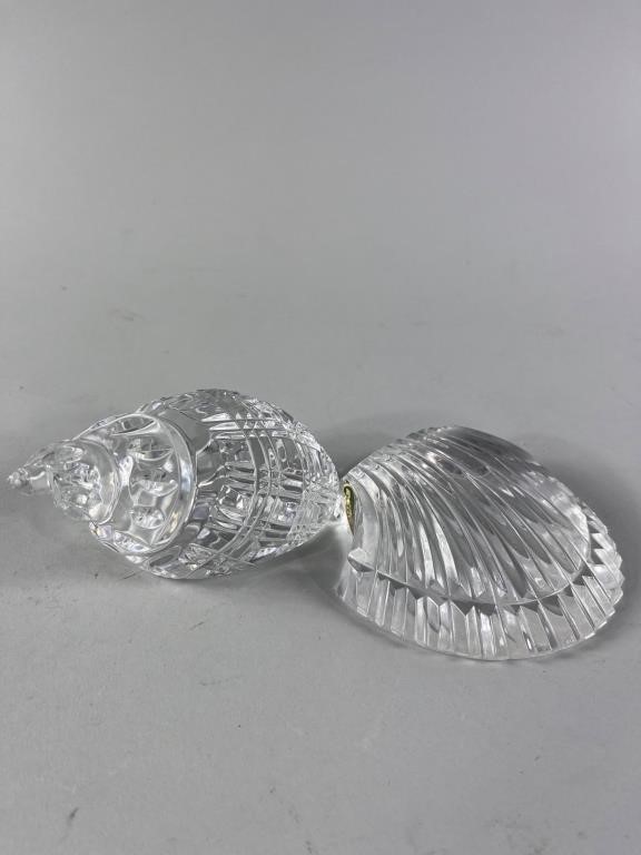 Waterford Crystal Conch and Scallop Shell