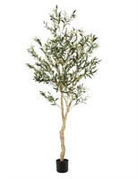 Realead Olive Tree ***CONDITION UNKNOWN, DAMAGED