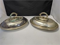 2 Silver Colored Serving Trays