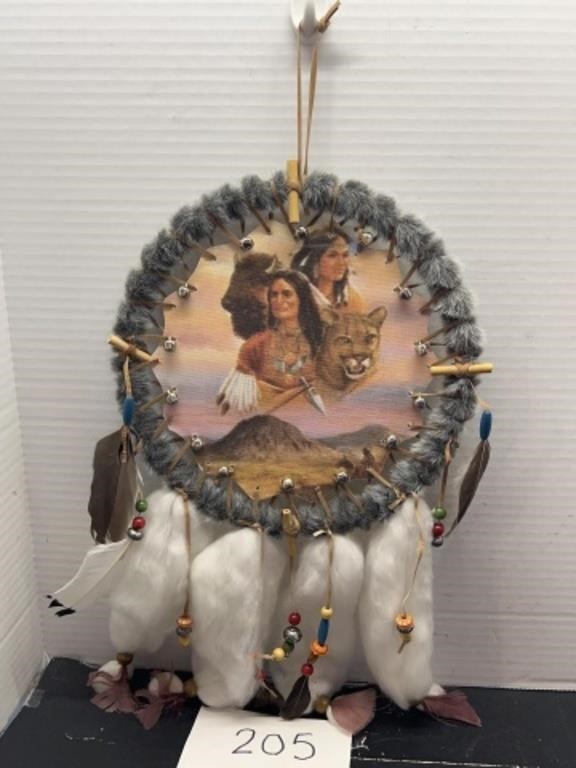 Native American Indian dream catcher