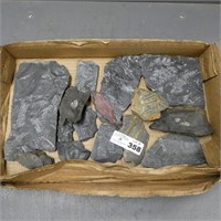 Various Fern Fossils & Slate Rocks