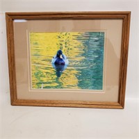 Duck Days Framed Duck Picture