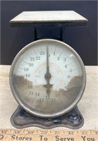 Vintage Perfection Family Scale