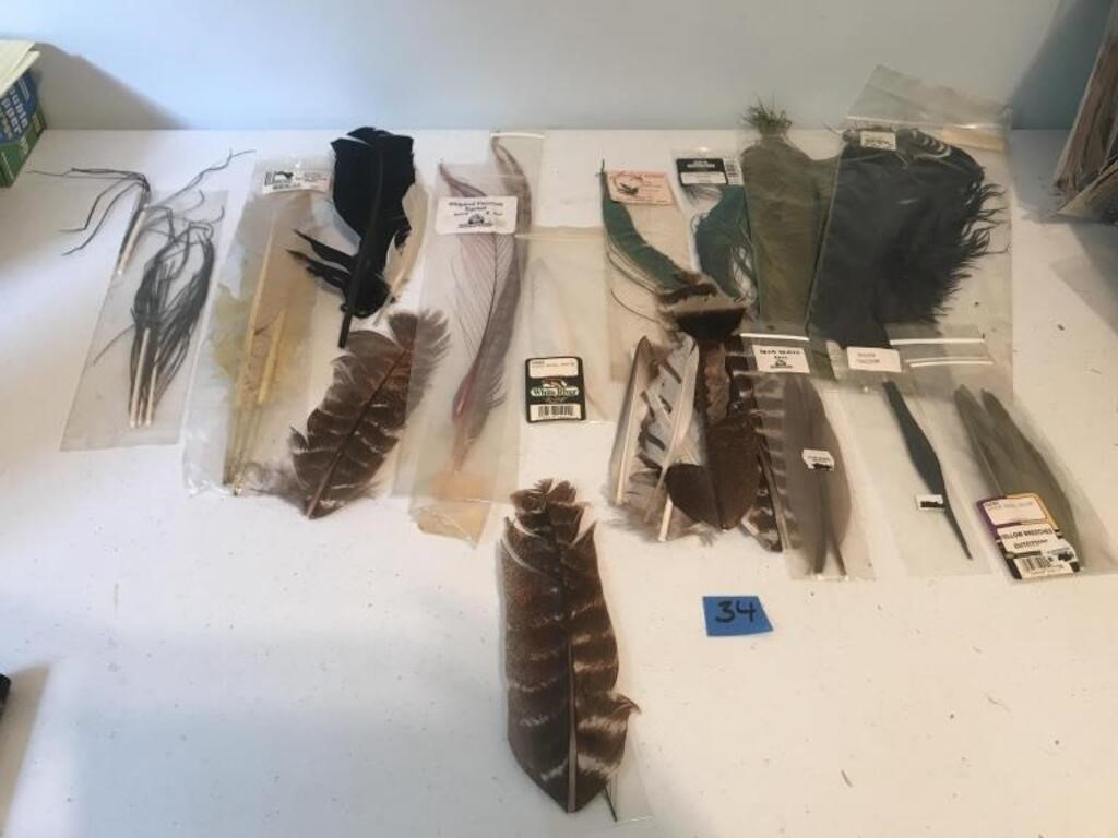 Bird Feathers, Peacock Feathers, Quills
