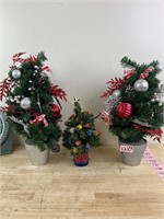 Three Small Christmas Trees