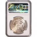 Morgan Silver Dollar 1898-O MS66+ NGC toned (B)
