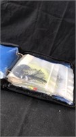 Fishing lures with case