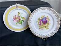 German Floral Plate & White House China Plate
