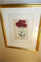 DIANTHIS PRINT - ARTIST SIGNED FLORAL WITH GOLD