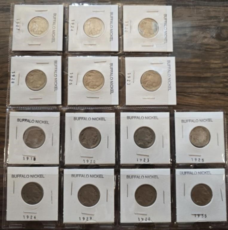Lot of vintage Buffalo nickels