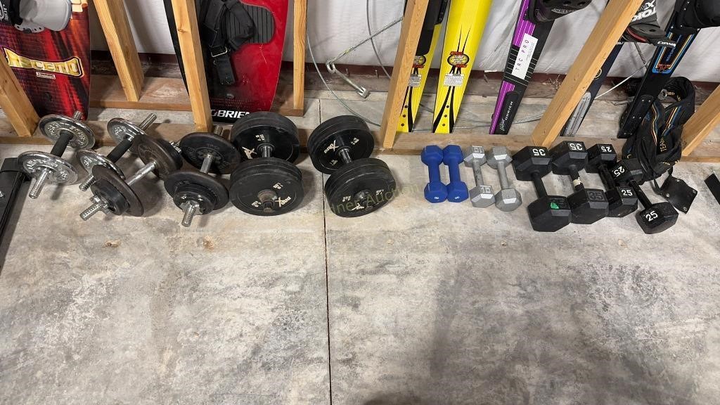 LARGE GROUP OF DUMBELLS & WEIGHTS