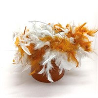 Longhorn pail feathers