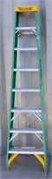 Werner 8' Fiber Glass Ladder
